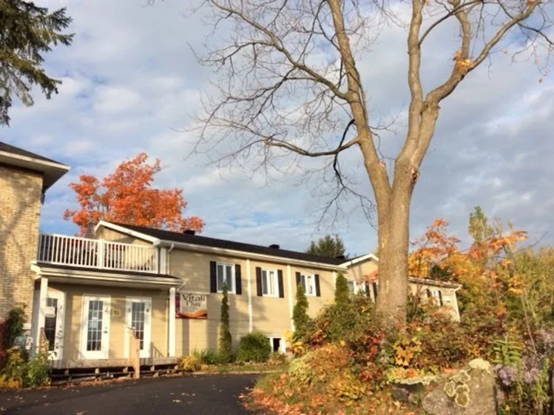 Vitali plus distribution