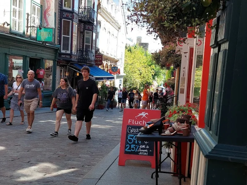 Collections Feejos Inc