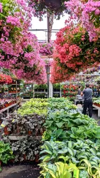 Top 19 gardening stores in Quebec