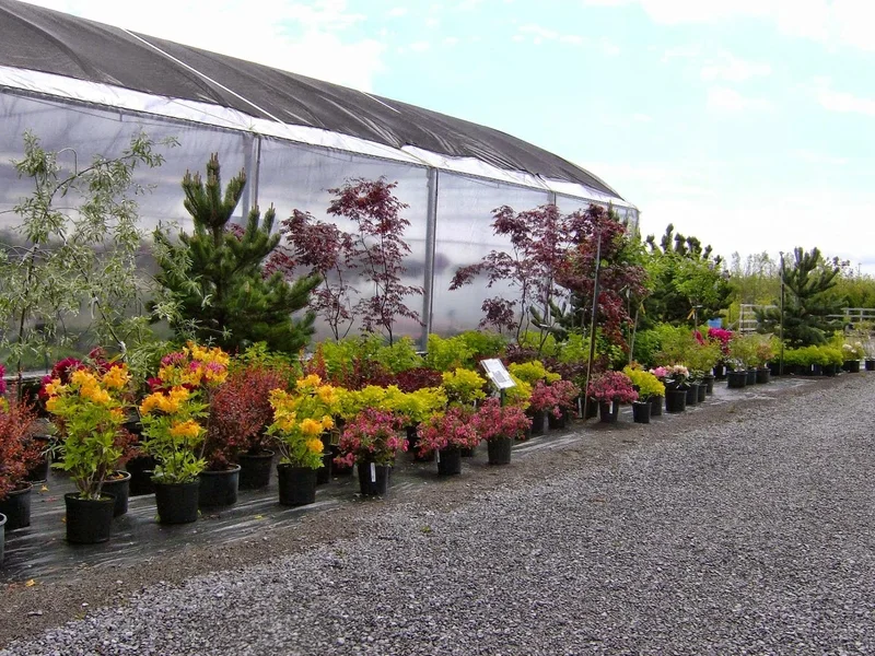 Jardinerie Pépinière Moraldo et fils inc. St-Augustin