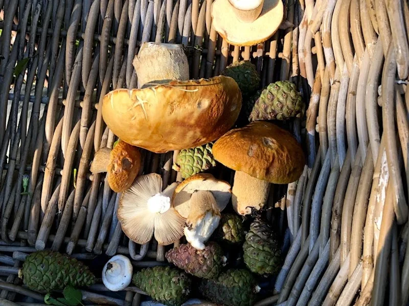 Fleuriste Les Halles En Fleurs Inc.