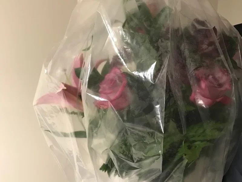 Fleuriste Orchidée Inc