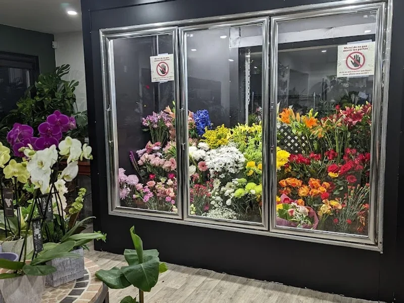 Fleuriste Montmorency Inc