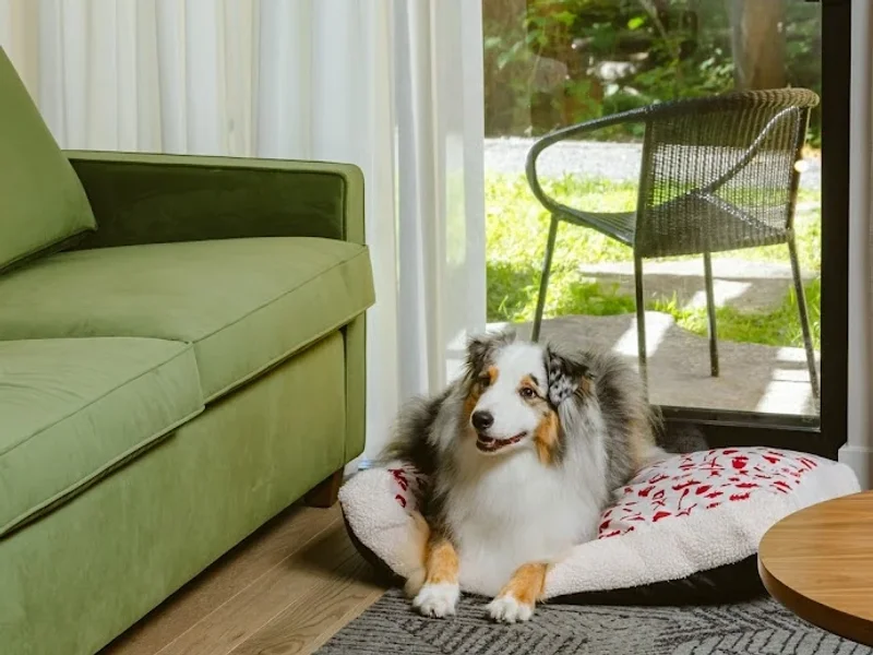 Hôtel - Musée Premières Nations