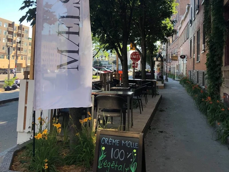 Maelstrøm Saint-Roch