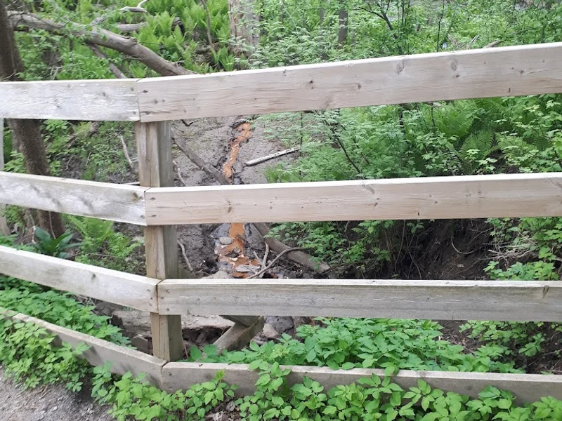 Loisirs Duberger-Les Saules