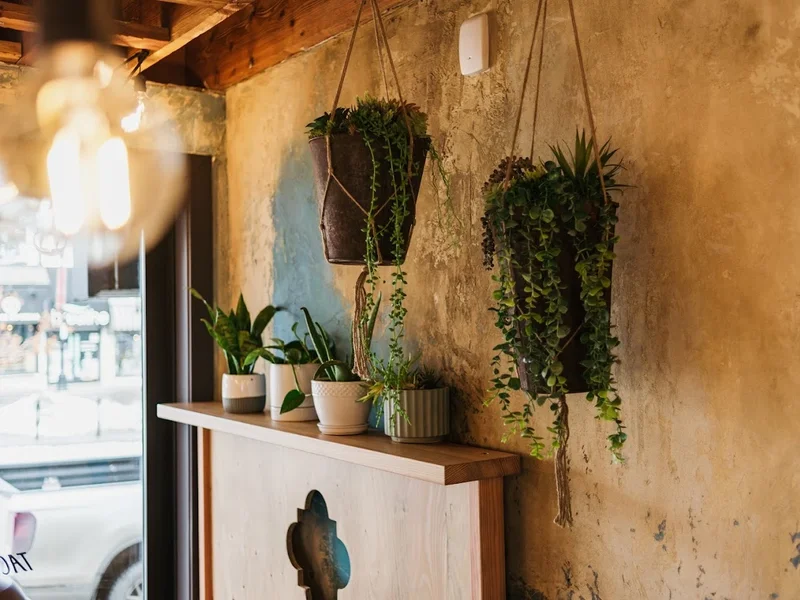 Native Tongues Taqueria - Britannia Plaza