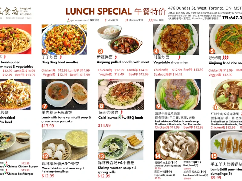 Magical Taste of China.Downtown/西域食府.唐人街