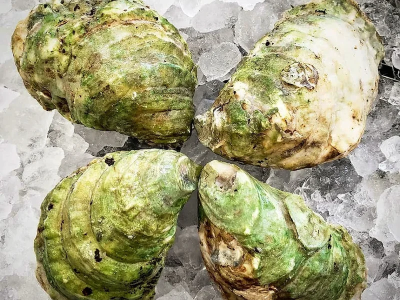 Island Oysters Restaurant & Bar