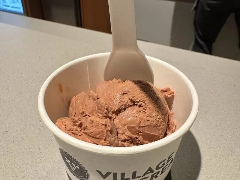 Village Ice Cream