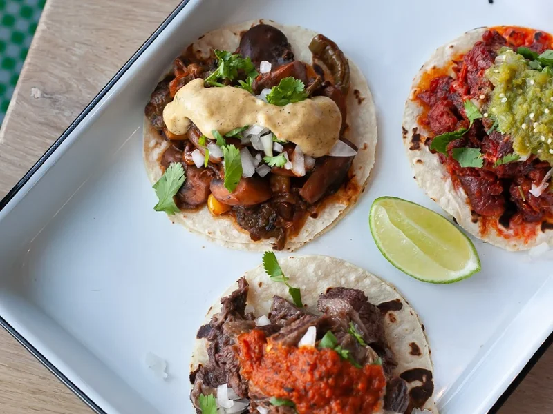 The Moose and Poncho