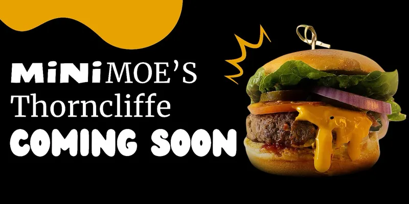 Mini Moe’s Burgers & Fries