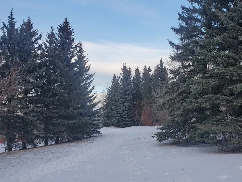 Edgebrook Picnic Area
