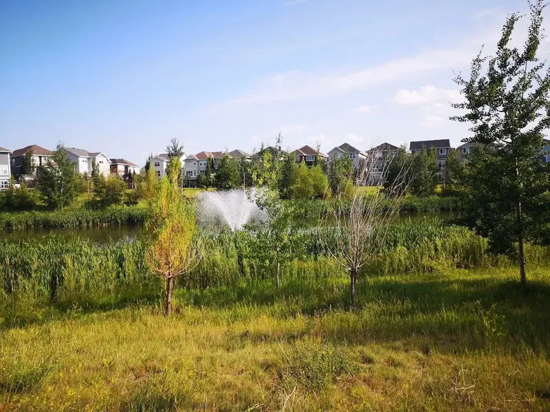 Auburn Bay Ave Pond Playground