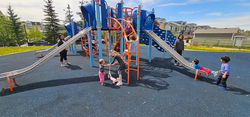 Auburn Springs Playground