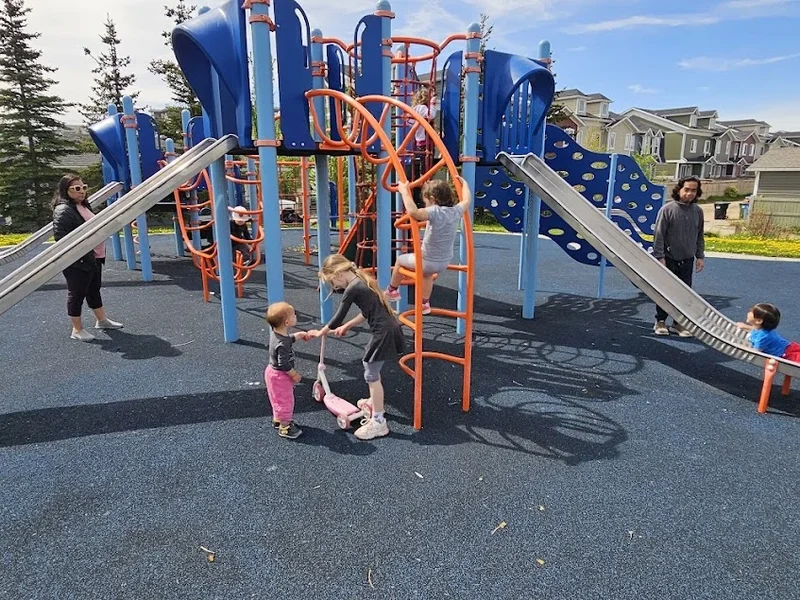 Auburn Springs Playground