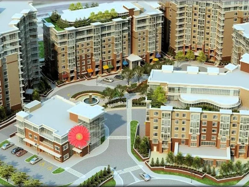 Sapient Psychological Services