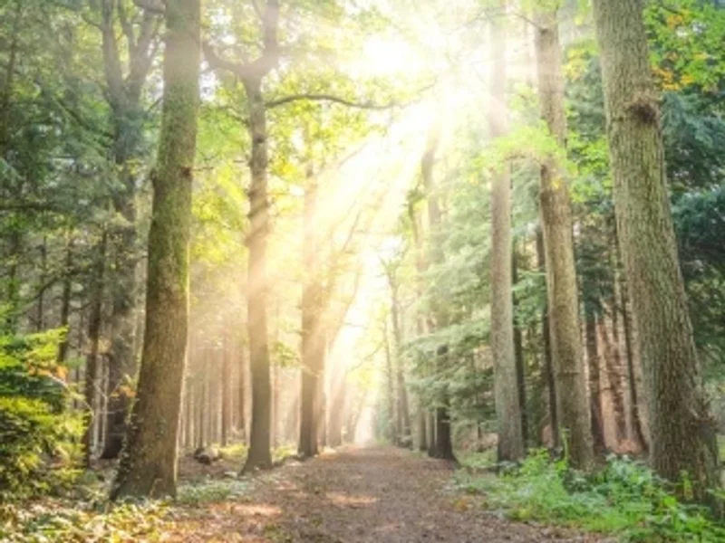 KM Counselling - Registered Psychologists