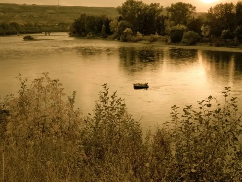 Bowness Community Association