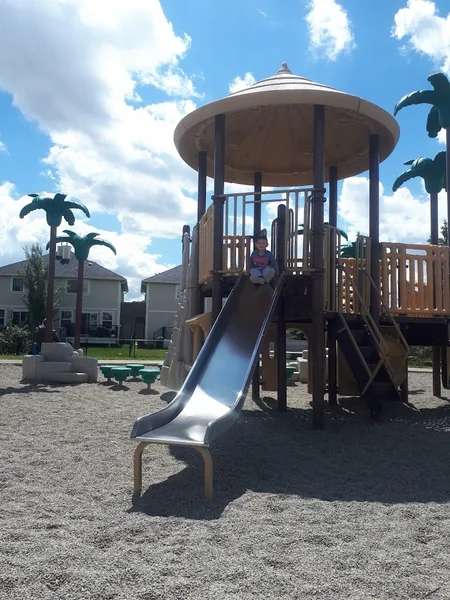 Palm Tree Playground