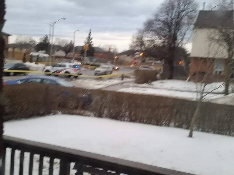 Liz Jewellery & Gifts