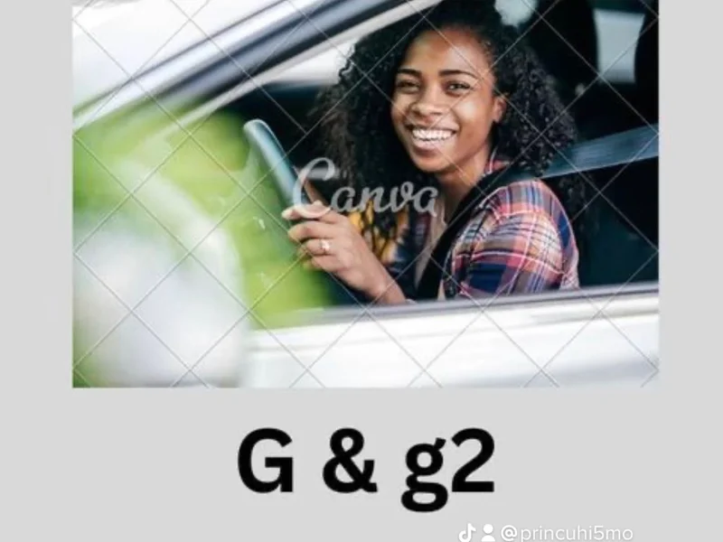 Nanak Professional Driving School