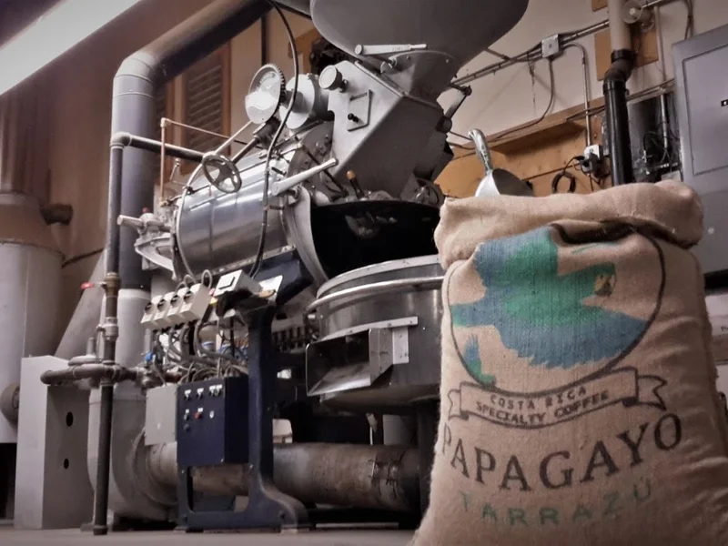 Tea And Coffee Company