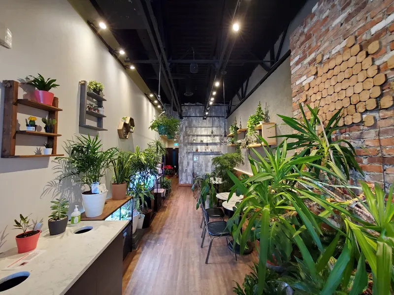 Urban Plant Cafe