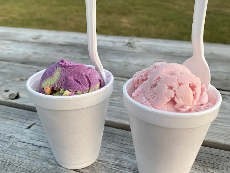 80 Flavours Premium Ice Cream