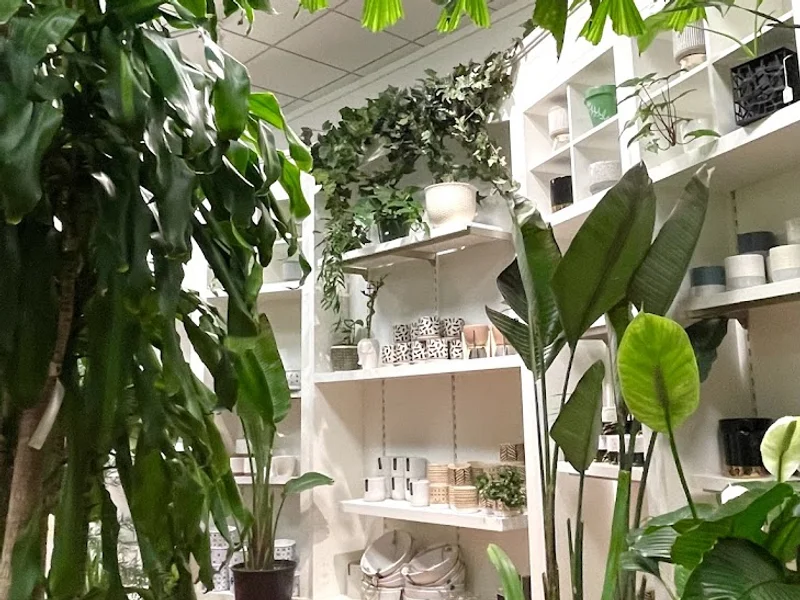 Glass Earth Plant Store