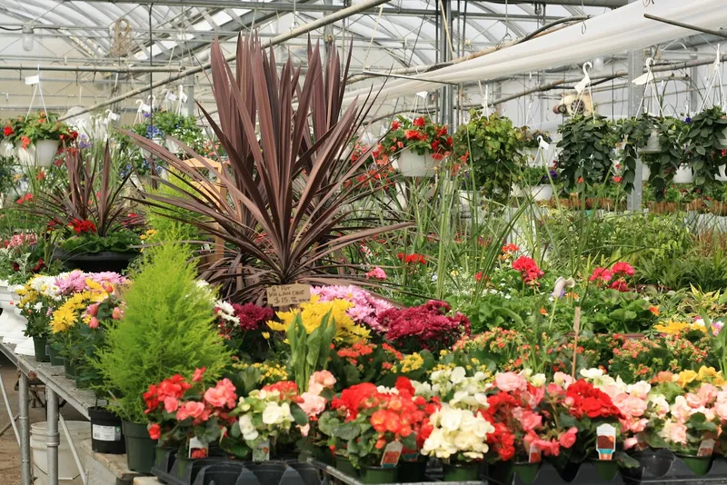 Bonnie Doon Flowers (Garden Centre)