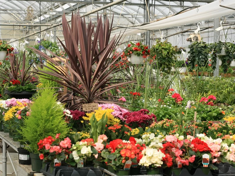 Bonnie Doon Flowers (Garden Centre)