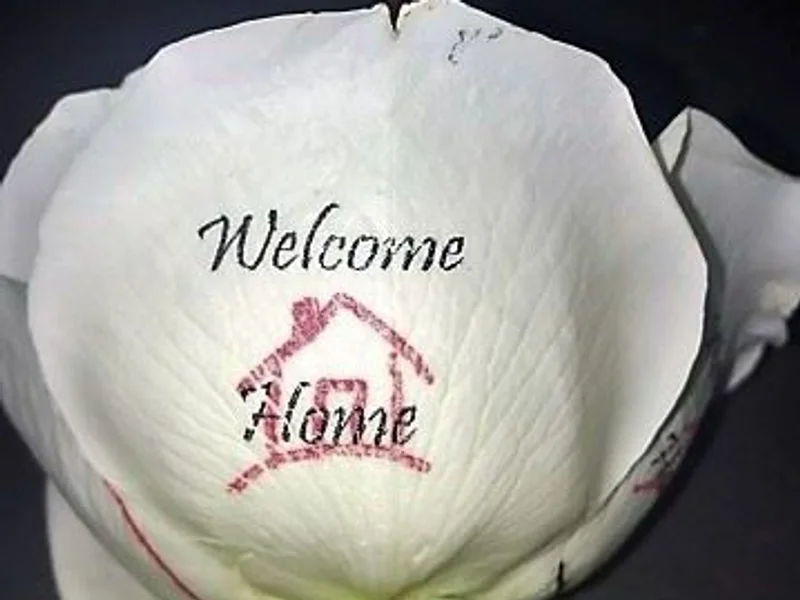 Speaking Roses Alberta