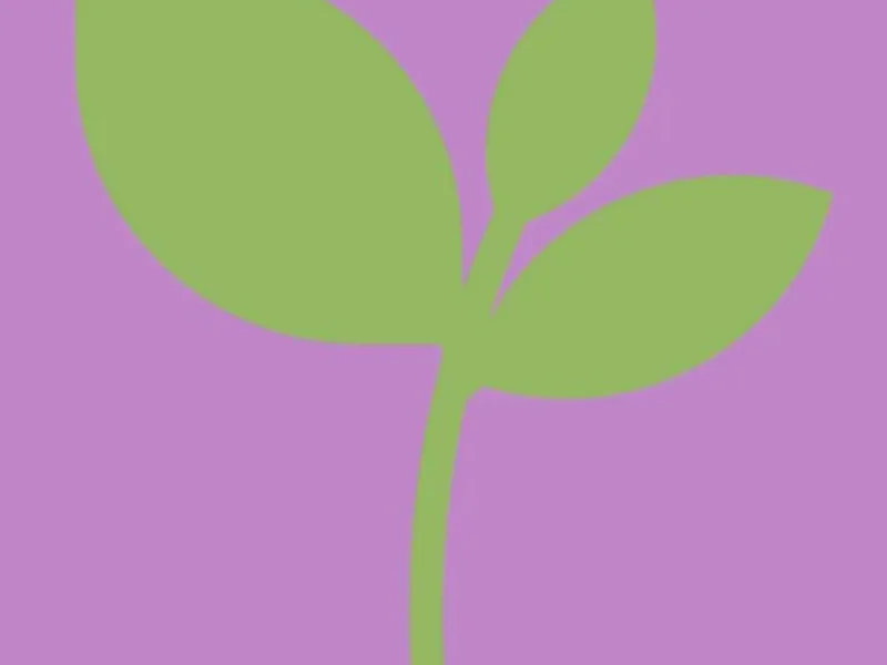 Lavender and Lemons Vegan Bakery