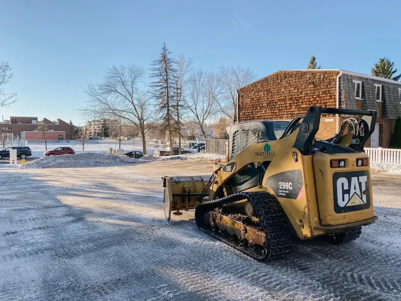 Trusty Tree Services