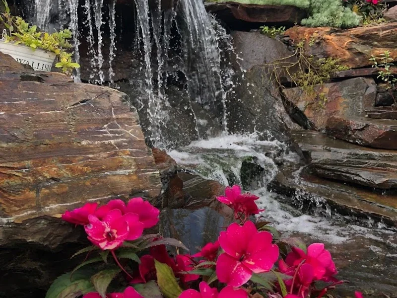 Kentucky Blue Grass Ltd.