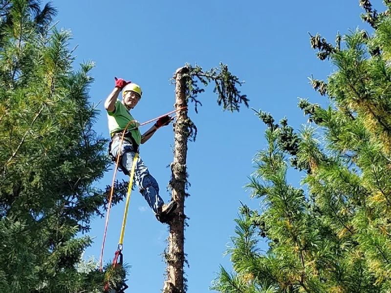 ATLAS Outdoor Services Ltd.