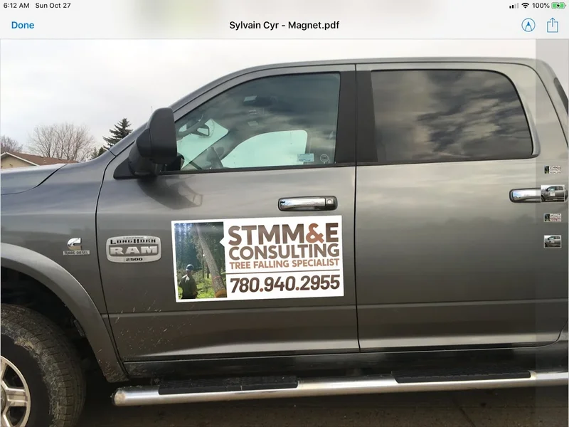 Stmm & E Consulting Tree Falling Specialist