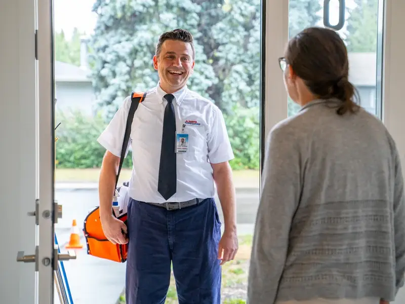 Alberta Carpet Cleaning