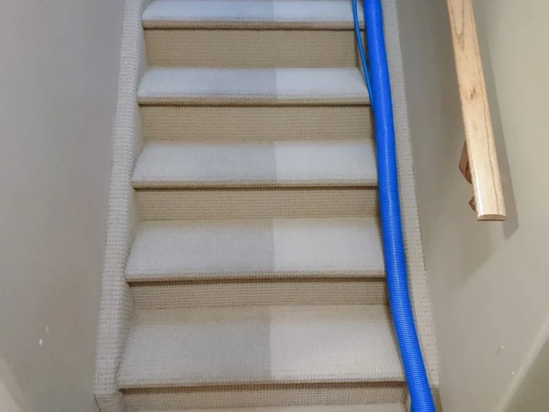 Champion City Cleaner