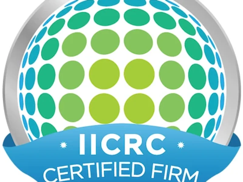 Everest Carpet & Upholstery Cleaning