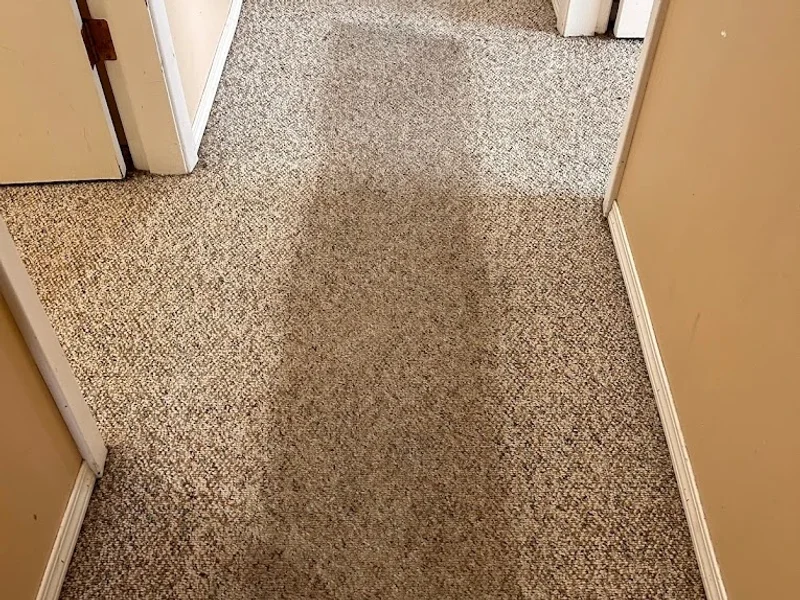 Maple Leaf Carpet Cleaning