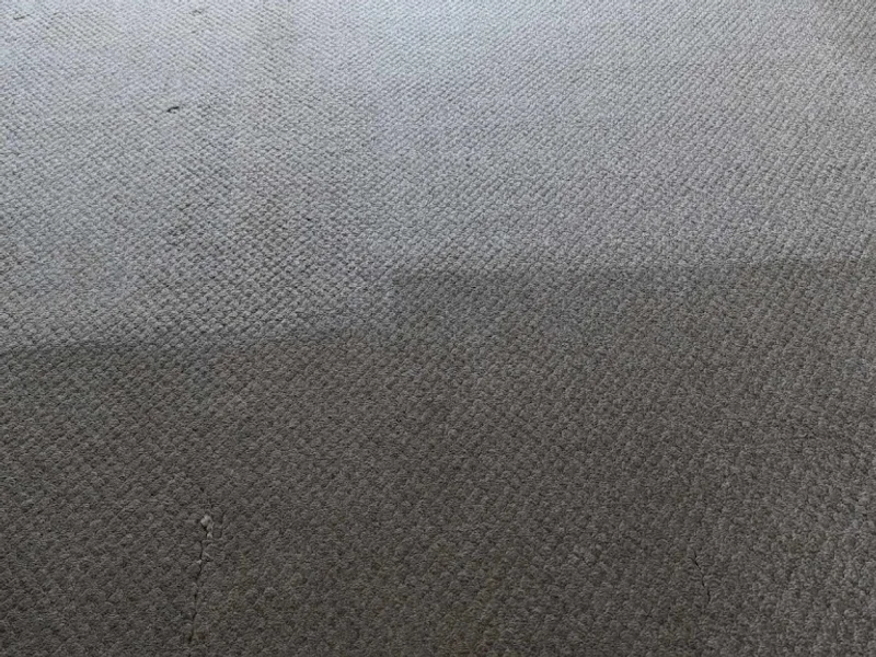 Beyond Carpet Cleaning