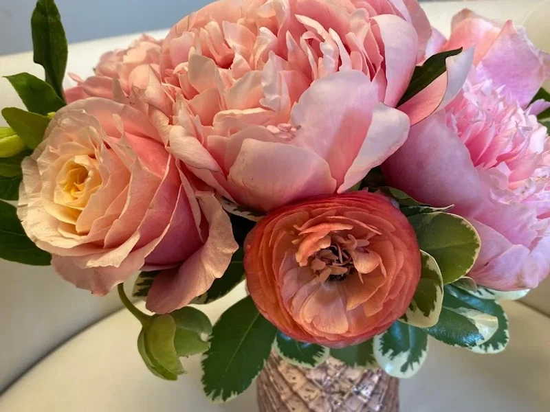 Nakatsui DermaSurgery