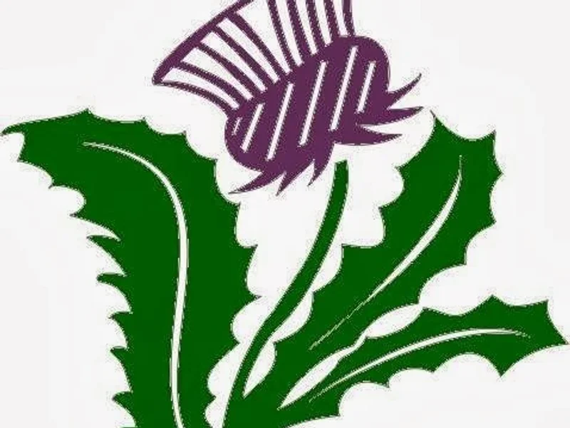 Highlander Counselling & Mediation