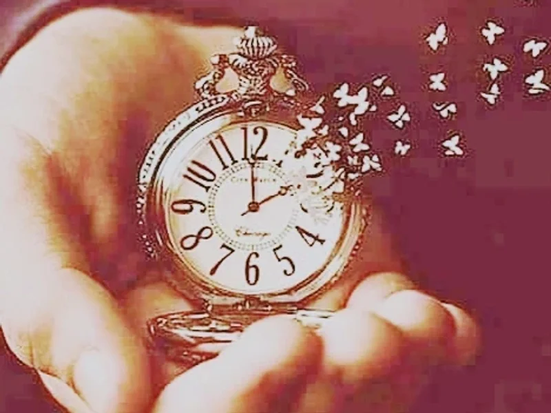 Meristem therapy Academy/ Edmonton school of Hypnotherapy