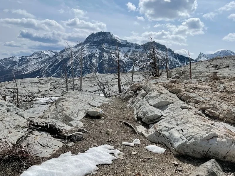 Lori-Ann Muenzer | Results & Success Coach