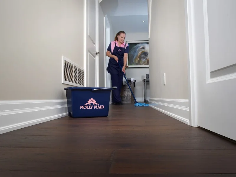 Molly Maid Edmonton Southwest & Southeast