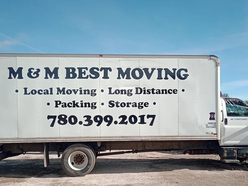 M&M Best Movers