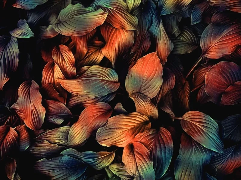 Suntrix Beauty Salon LTD